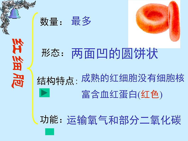 人教版生物七年级下册4.4.1 流动的组织——血液课件（25张PPT）07