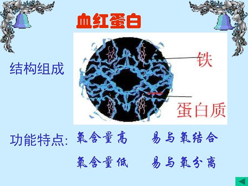 人教版生物七年级下册4.4.1 流动的组织——血液课件（25张PPT）08