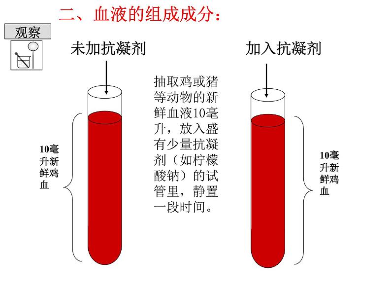 人教版生物七年级下册4.4.1 流动的组织——血液课件（22张PPT）05