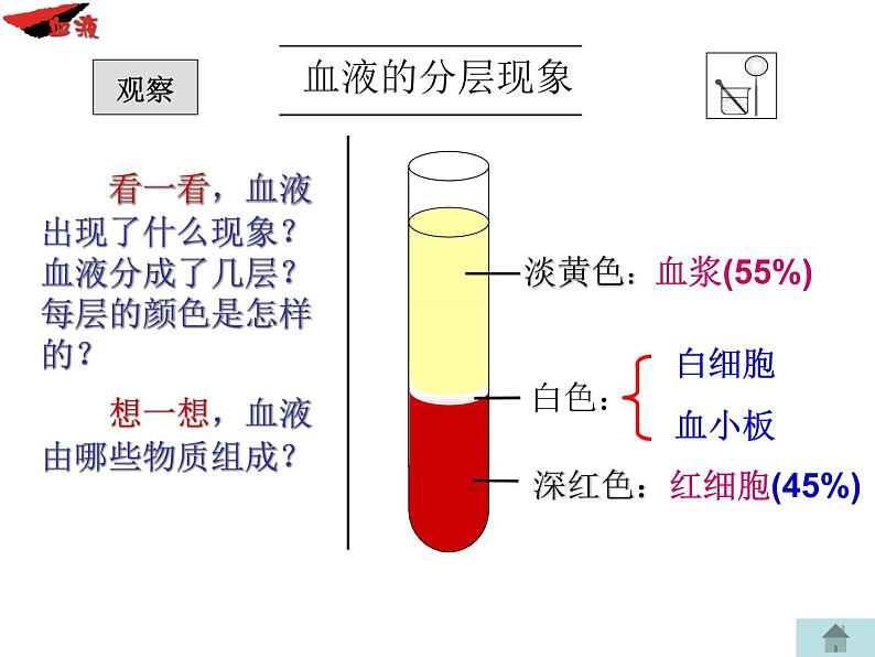 人教版生物七年级下册4.4.1 流动的组织——血液课件（22张PPT）06