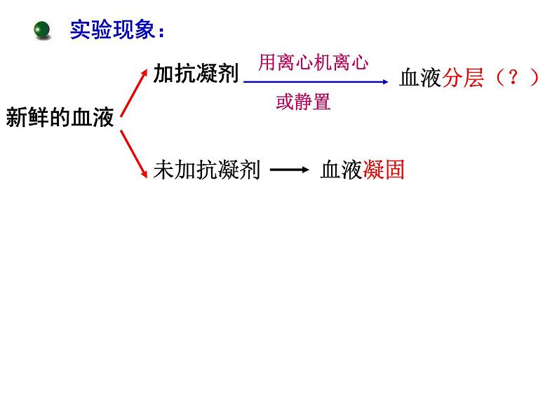 人教版生物七年级下册4.4.1 流动的组织——血液课件（22张PPT）07