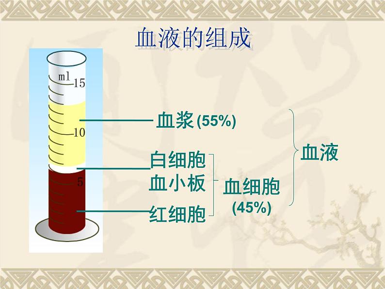 人教版生物七年级下册4.4.1 流动的组织——血液课件（24张PPT）第6页