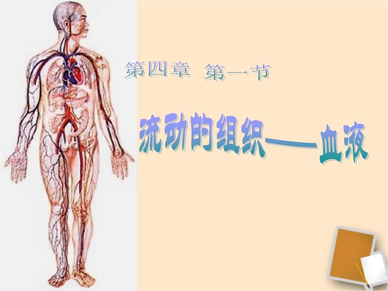 人教版生物七年级下册4.4.1 流动的组织——血液课件（37张PPT）第1页