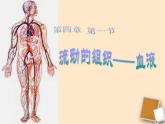 人教版生物七年级下册4.4.1 流动的组织——血液课件（37张PPT）