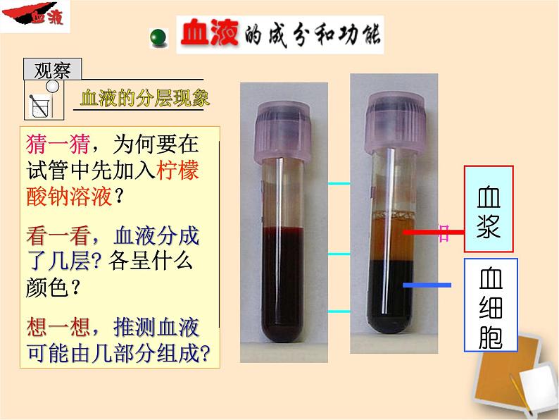 人教版生物七年级下册4.4.1 流动的组织——血液课件（37张PPT）第8页