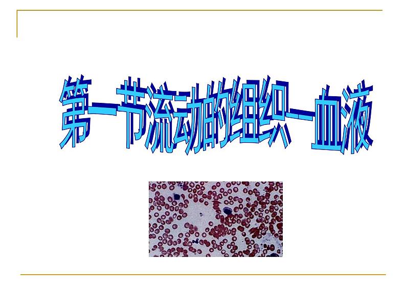 人教版生物七年级下册4.4.1 流动的组织——血液课件（27张PPT） (2)03