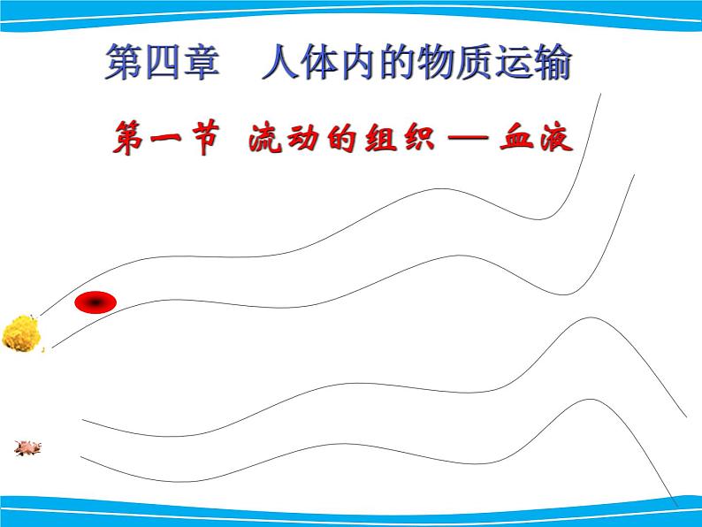 人教版生物七年级下册4.4.1 流动的组织——血液课件（18张PPT）04