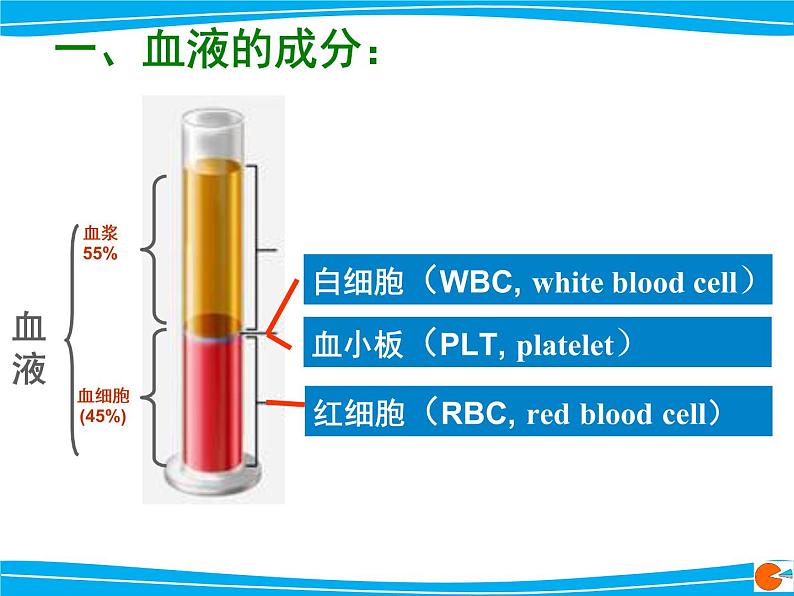 人教版生物七年级下册4.4.1 流动的组织——血液课件（18张PPT）06