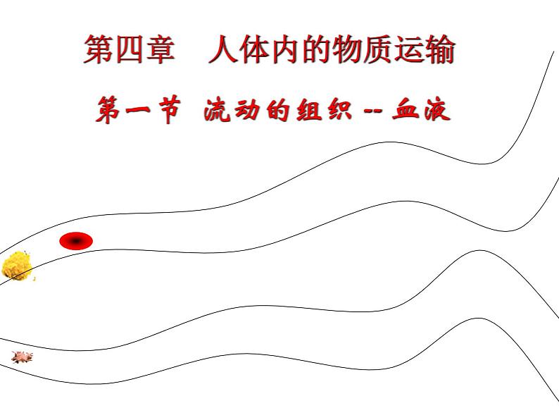 人教版生物七年级下册4.4.1 流动的组织——血液课件（17张PPT）第3页