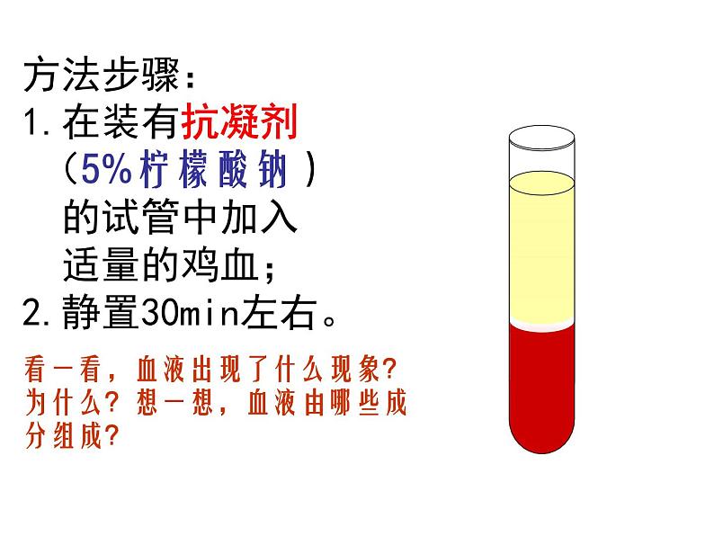 人教版生物七年级下册4.4.1 流动的组织——血液课件（17张PPT）第5页