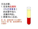 人教版生物七年级下册4.4.1 流动的组织——血液课件（17张PPT）