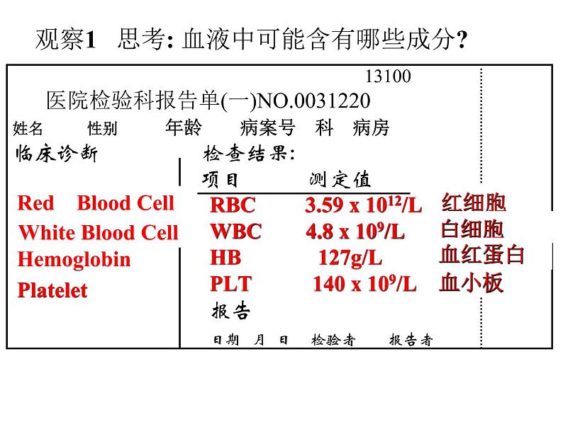 人教版生物七年级下册4.4.1 流动的组织——血液课件（17张PPT）第6页