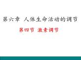 人教版七年级生物下册 第六章第四节 激素调节课件（47张PPT）