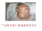 人教版七年级生物下册 第六章第四节 激素调节课件（47张PPT）