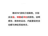 人教版七年级下册第六章第二节 神经系统的组成 课件（28张PPT）