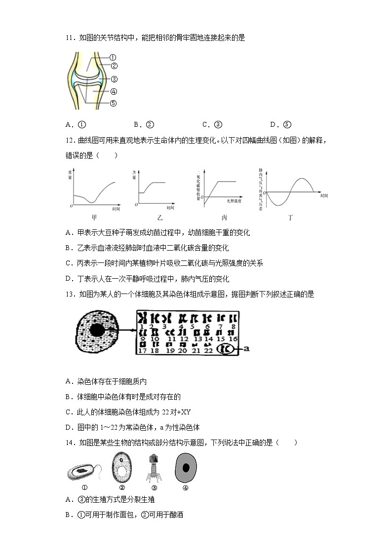 2020年内蒙古呼伦贝尔市阿荣旗中考二模生物试题（word版含答案）03