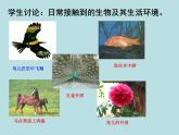 北师大版七年级上册 第一章第一节 形形色色的生物 课件（20张PPT）