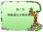 北師大版七年級(jí)上冊(cè) 第3章第3節(jié)  細(xì)胞通過分裂增殖課件（20張PPT）