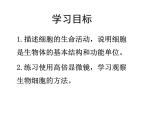 北師大版七年級(jí)上冊(cè) 第3章第3節(jié)  細(xì)胞通過分裂增殖課件（20張PPT）