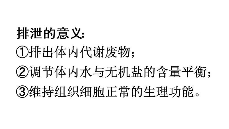 人教版七年级生物下册  第四单元生物圈中的人第五章人体内废物的排出（复习）课件（13张PPT）第4页