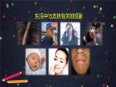 七年级生物下册 7.3 汗液的排出1（课件+教案+学案有答案）