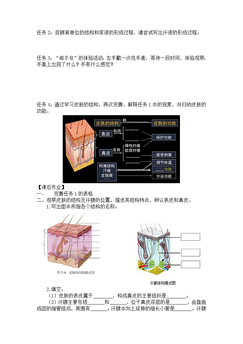 7.3 汗液的排出 学案第2页