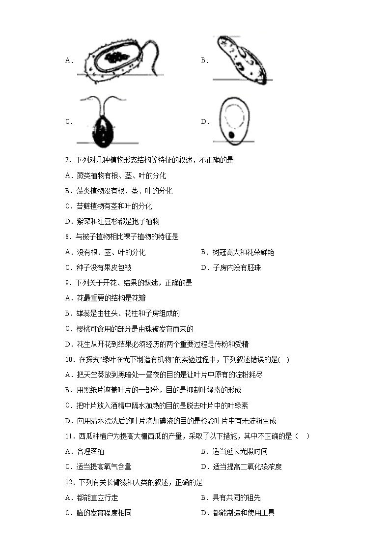 2021年云南省红河州元阳县中考二模生物试题（word版含答案）第2页