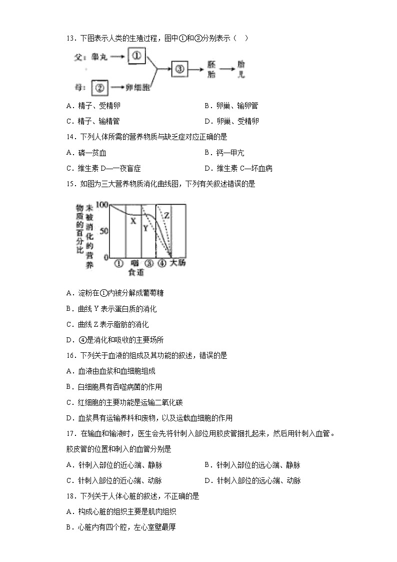2021年云南省红河州元阳县中考二模生物试题（word版含答案）第3页