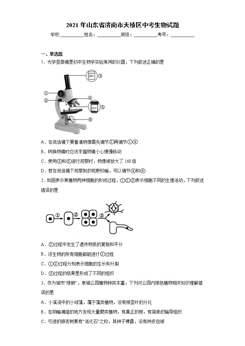 2021年山东省济南市天桥区中考生物试题（word版 含答案）01