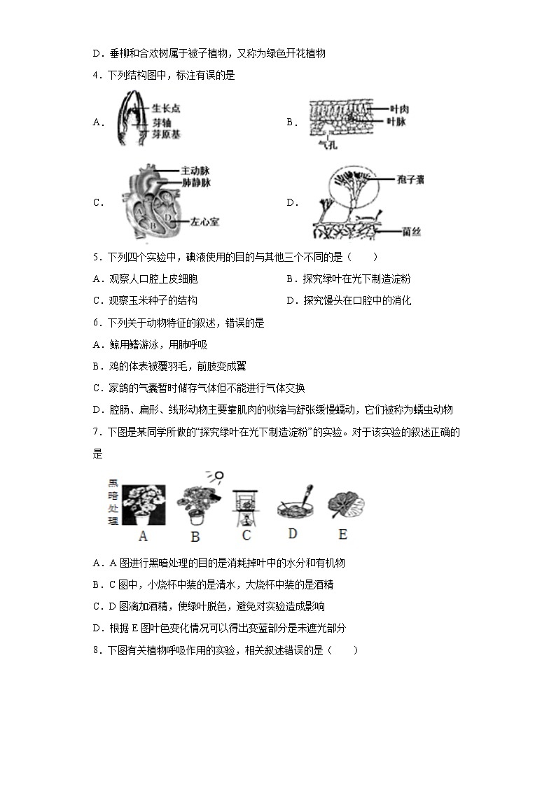 2021年山东省济南市天桥区中考生物试题（word版 含答案）02
