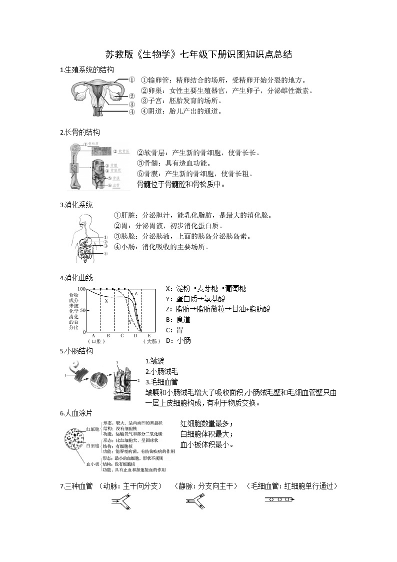 苏教版生物学七年级下册 识图知识点总结第1页