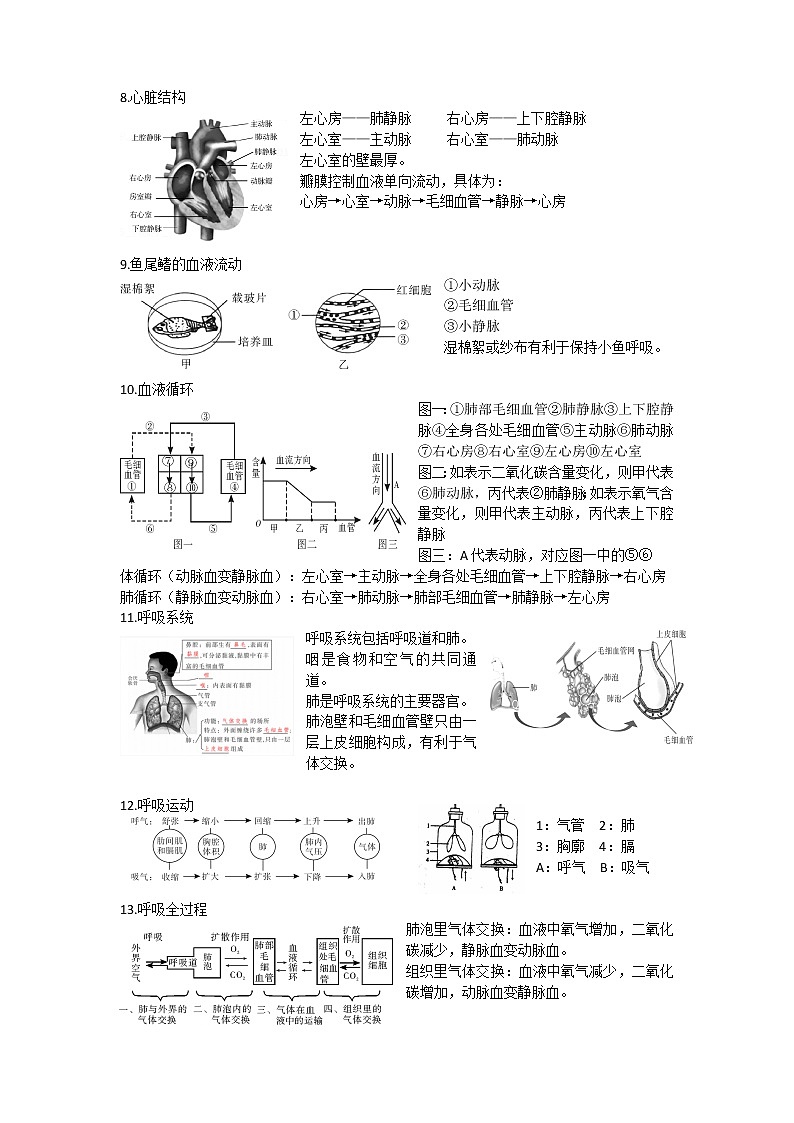 苏教版生物学七年级下册 识图知识点总结第2页