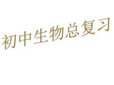 2021年中考总复习知识提纲课件（128张PPT）