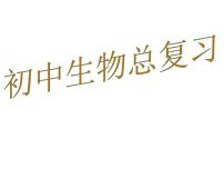 2021年中考总复习知识提纲课件（128张PPT）