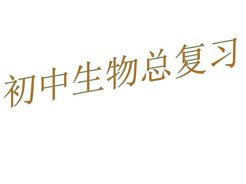 2021年中考总复习知识提纲课件（128张PPT）01