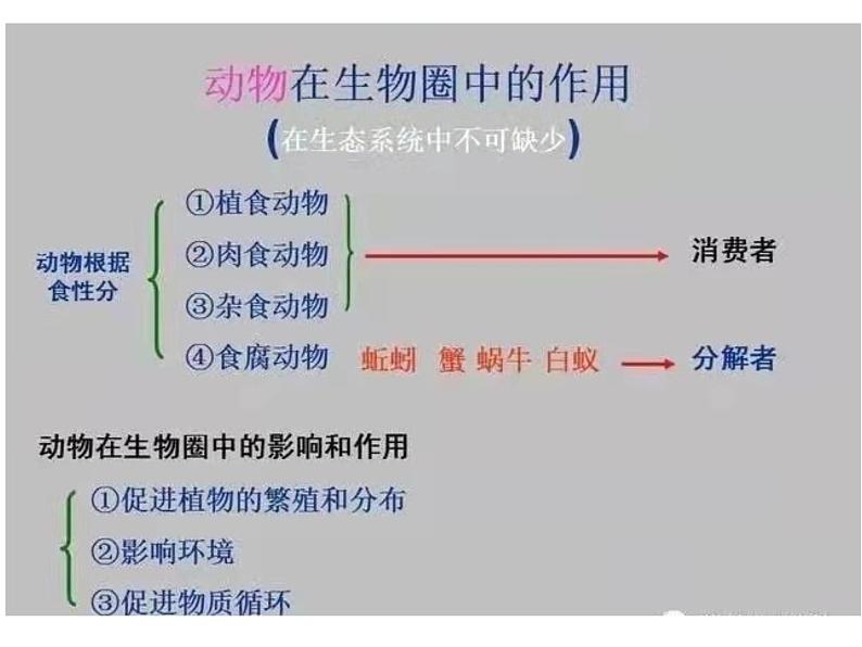 2021年中考总复习知识提纲课件（128张PPT）07