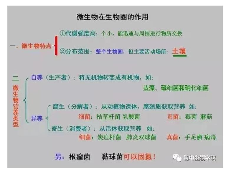 2021年中考总复习知识提纲课件（128张PPT）08