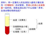 人教版七年级生物下册 第四章人体内物质的运输复习课件（53张PPT）