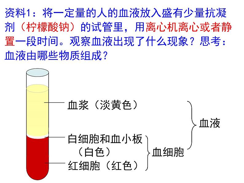 人教版七年级生物下册 第四章人体内物质的运输复习课件（53张PPT）02