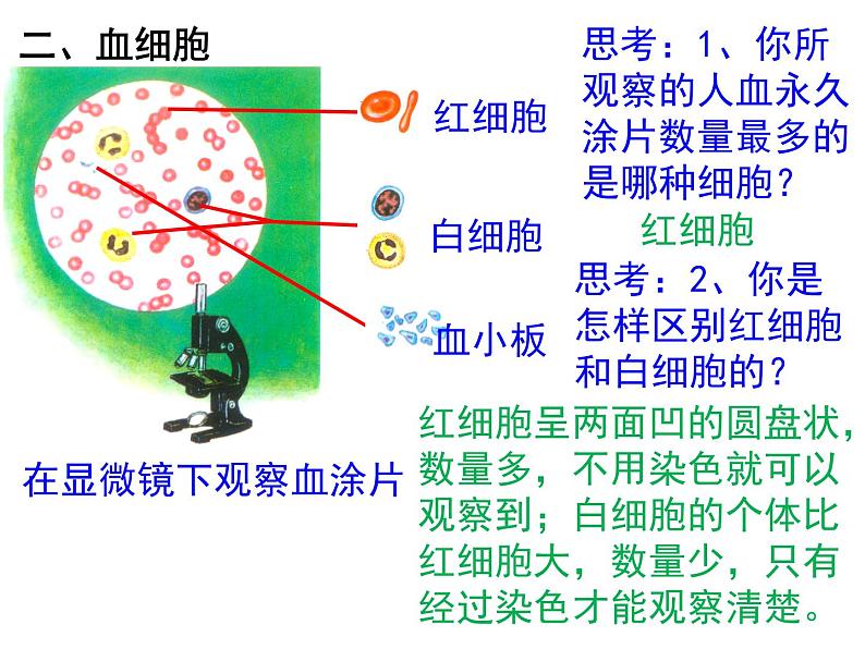 人教版七年级生物下册 第四章人体内物质的运输复习课件（53张PPT）05