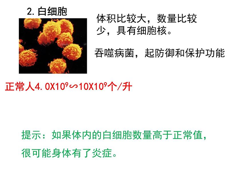 人教版七年级生物下册 第四章人体内物质的运输复习课件（53张PPT）08