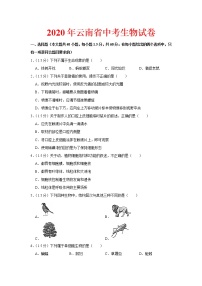 2020年云南省中考生物试卷（word版 含答案）