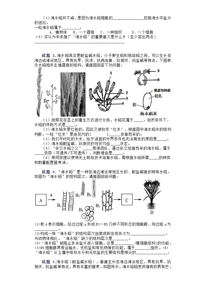 2021年初中生物会考中考热点-与袁隆平海水稻有关的试题解析（word版 含答案）02