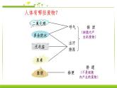 4.5人体内废物的排出 课件PPT