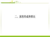 4.5人体内废物的排出 课件PPT