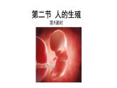 4.1.2人的生殖 课件PPT