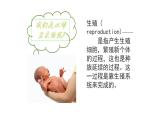 4.1.2人的生殖 课件PPT