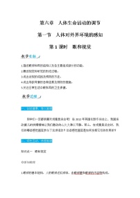 生物七年级下册第一节 人体对外界环境的感知第一课时教学设计