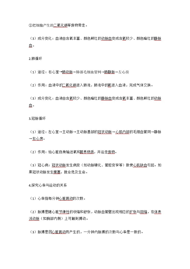 人教版七年级生物下册4.4.3《血液循环的途径》第2课时 教案02