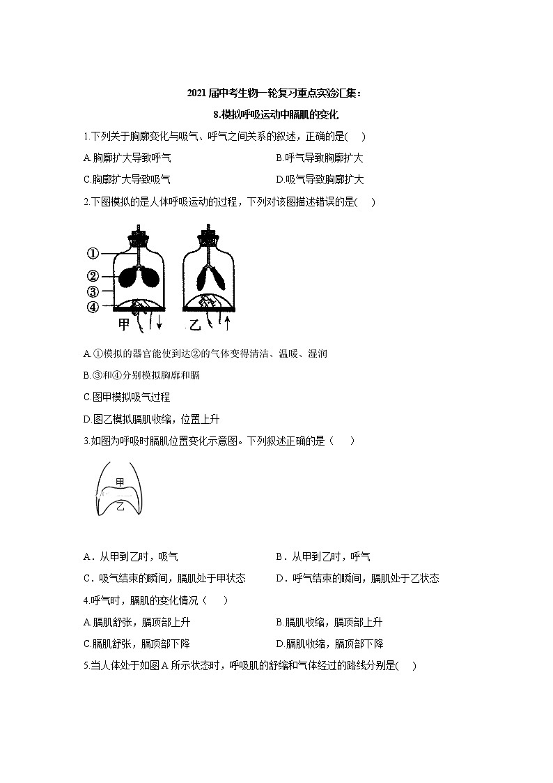 2021年中考生物一轮复习重点实验汇集：8.模拟呼吸运动中膈肌的变化 试卷01